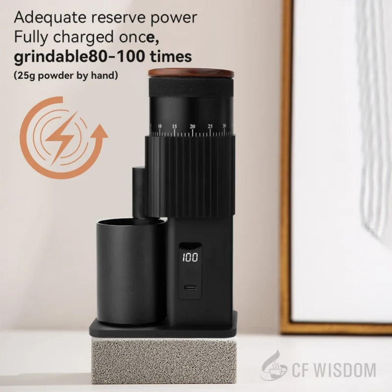 Stainless Steel Electric Burr Coffee Grinder with 25g Capacity for Espresso and Travel - Image 3